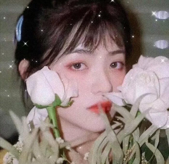 男子高中生的日常